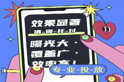 SEM运营推广策略：成功案例解析